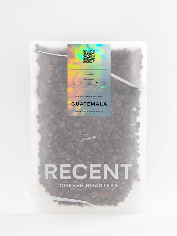 Guatemala Huehuetenango Jabiru