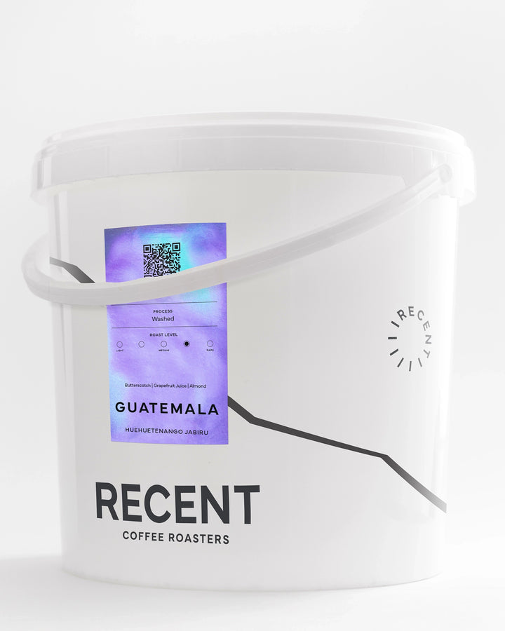 Guatemala Huehuetenango Jabiru