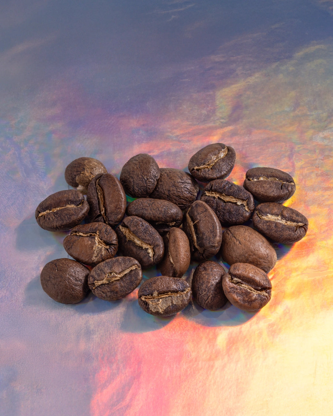 Guatemala Huehuetenango Jabiru