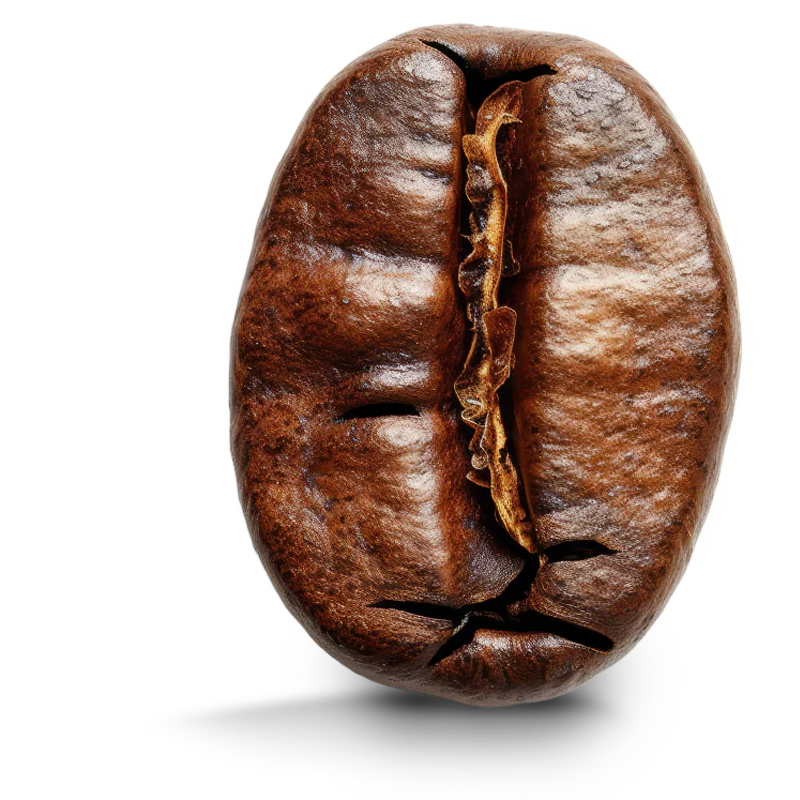 Roaster's Choice Gift Subscription