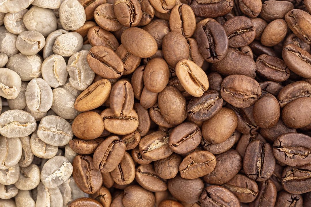 Light vs Dark Roast: What It Means