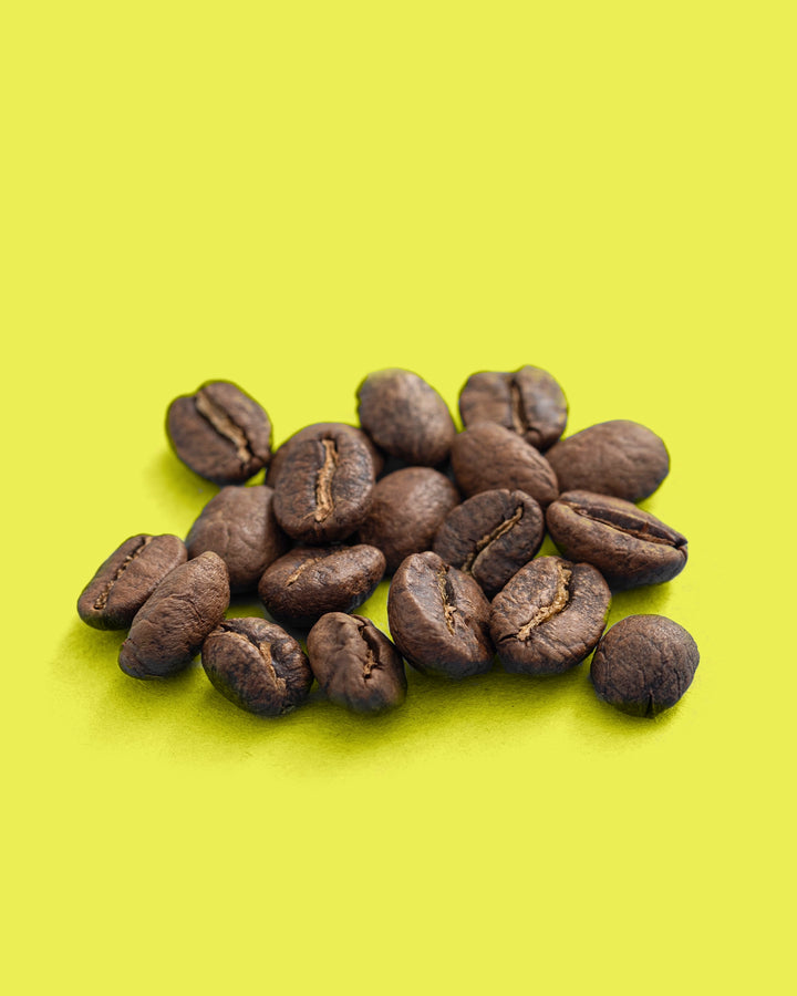 Dulima Excelso