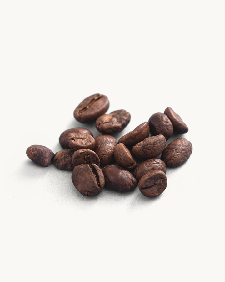 El Buho Excelso