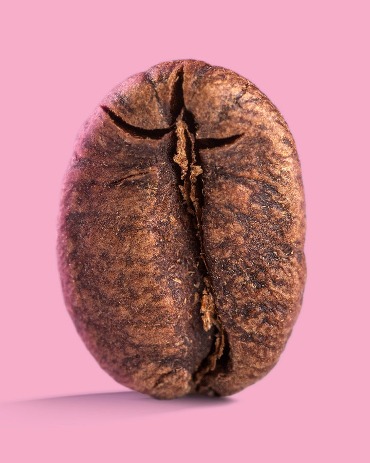 Colombia Finca Maracay