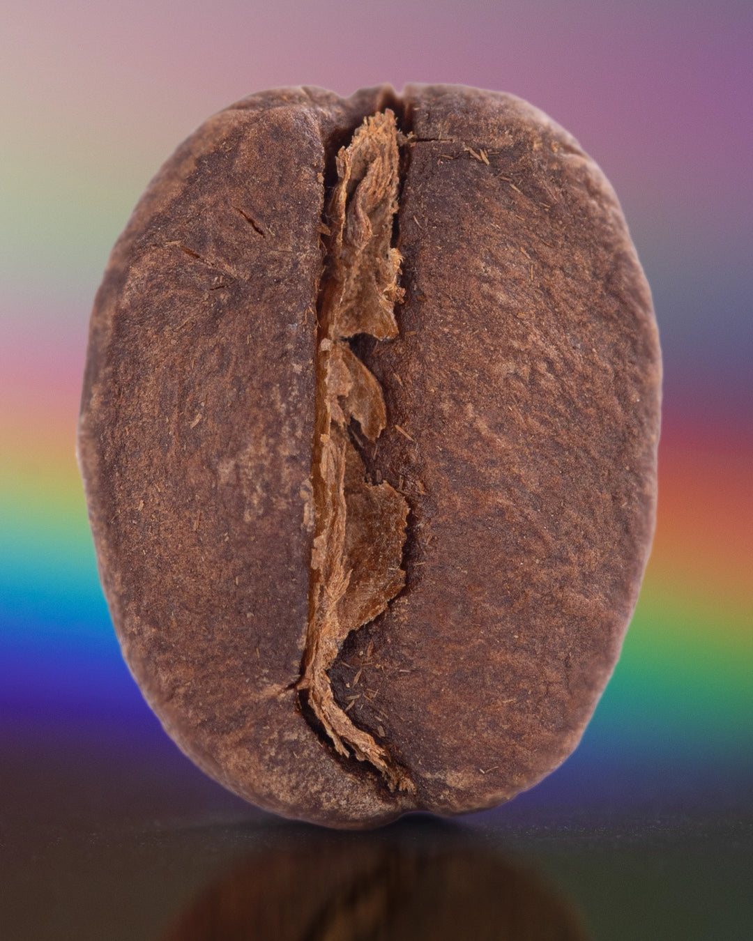 Costa Rica Finca Monte Alto