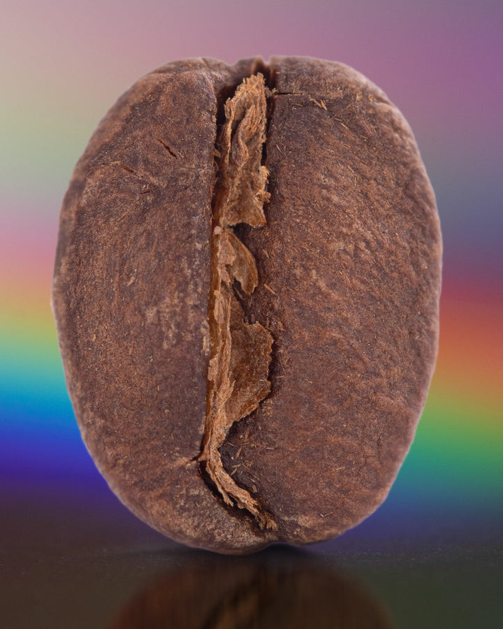 Costa Rica Finca Monte Alto