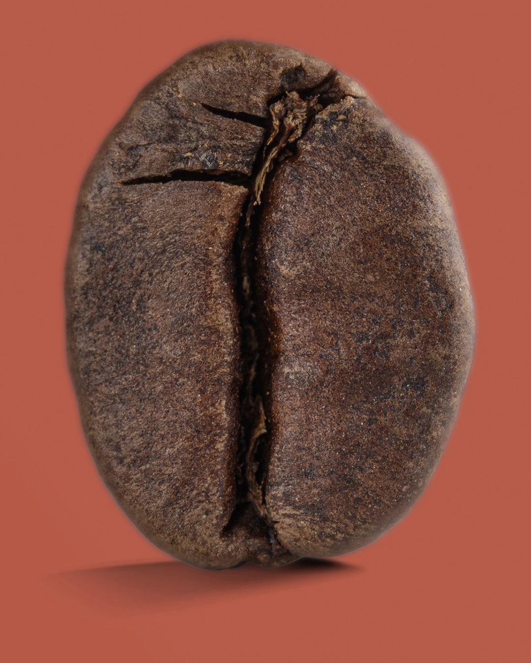 Kenya Kericho AA Decaf