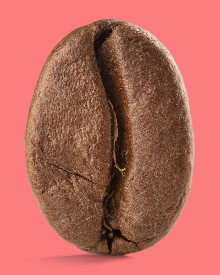 Mexico Ki-Saya