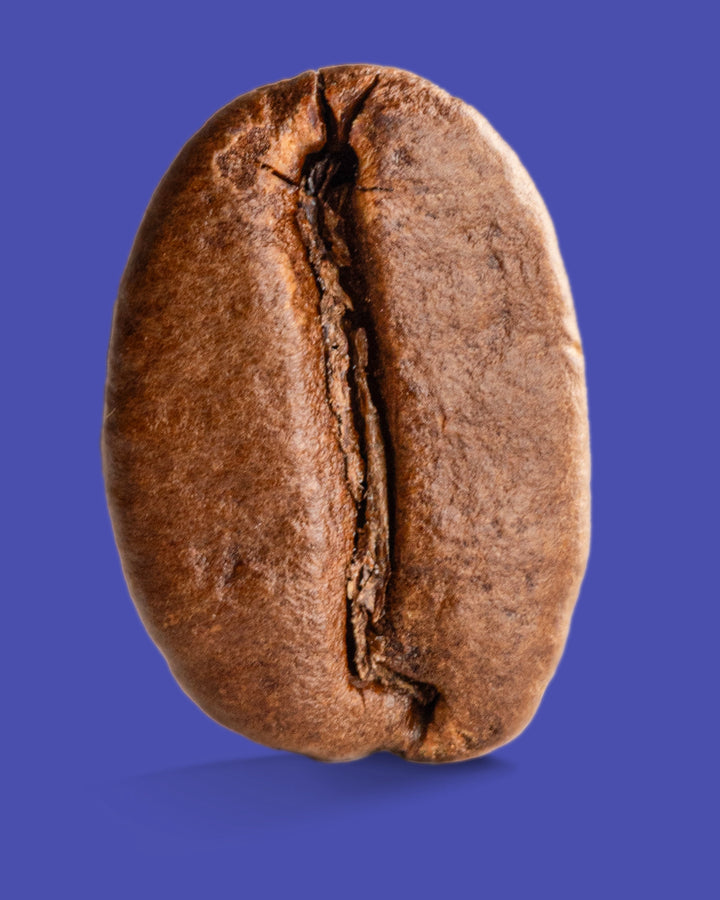 Uganda Agri Evolve