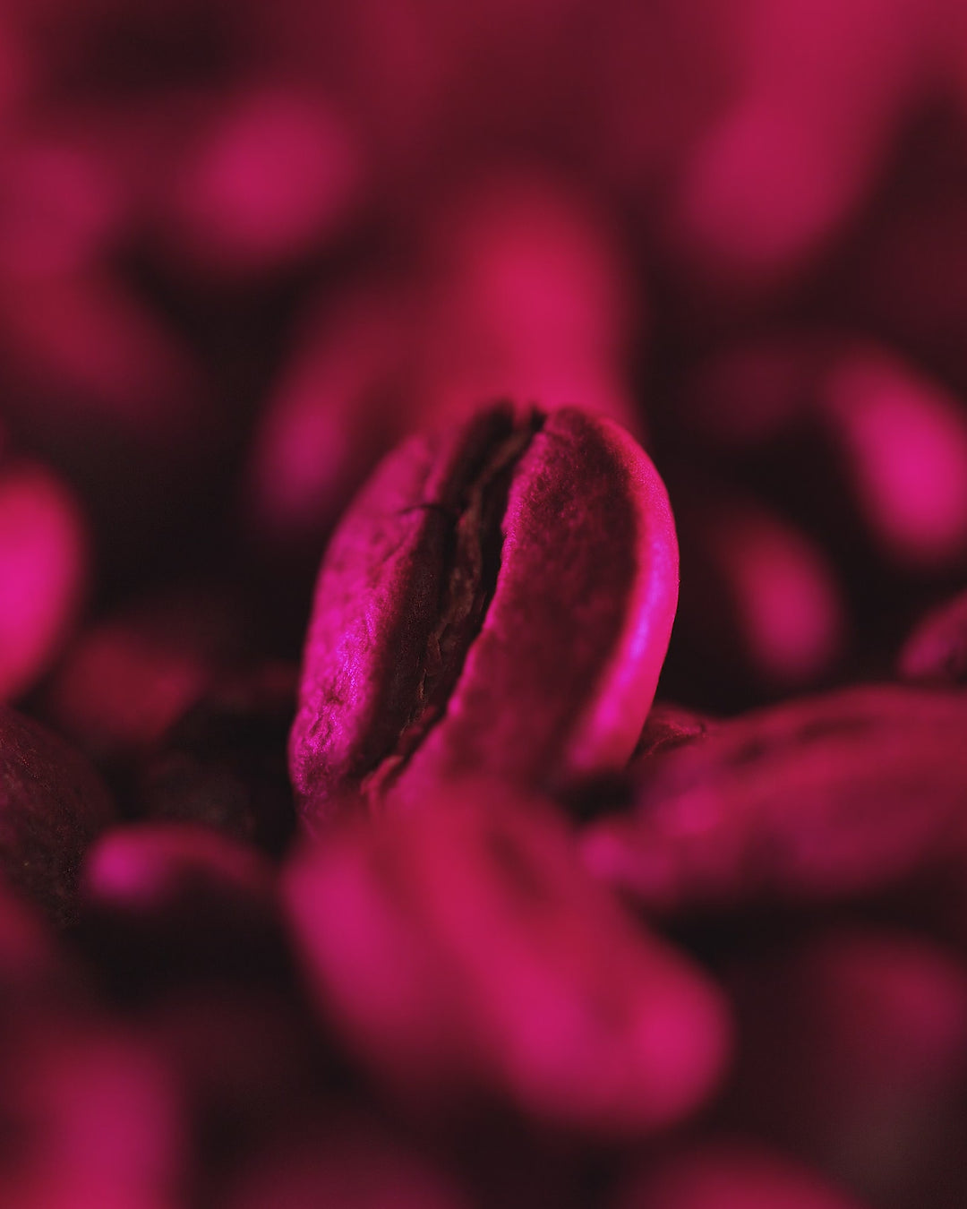 Colombia Finca Maracay